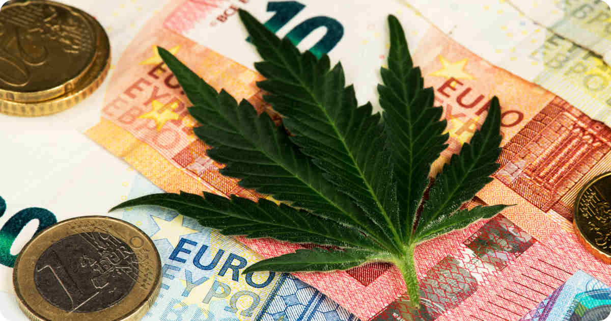 Eine Cannabisblatt liegt auf Euroscheinen.
