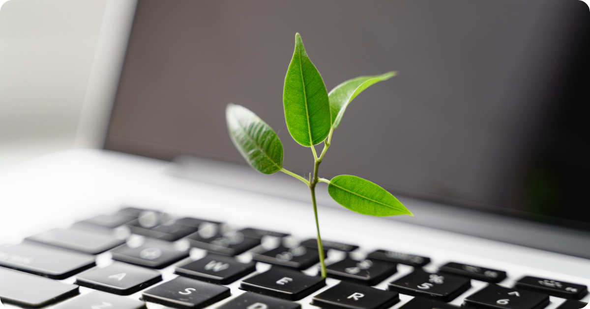 Eine grüne Pflanze wächst aus der Tastatur eines Laptops.